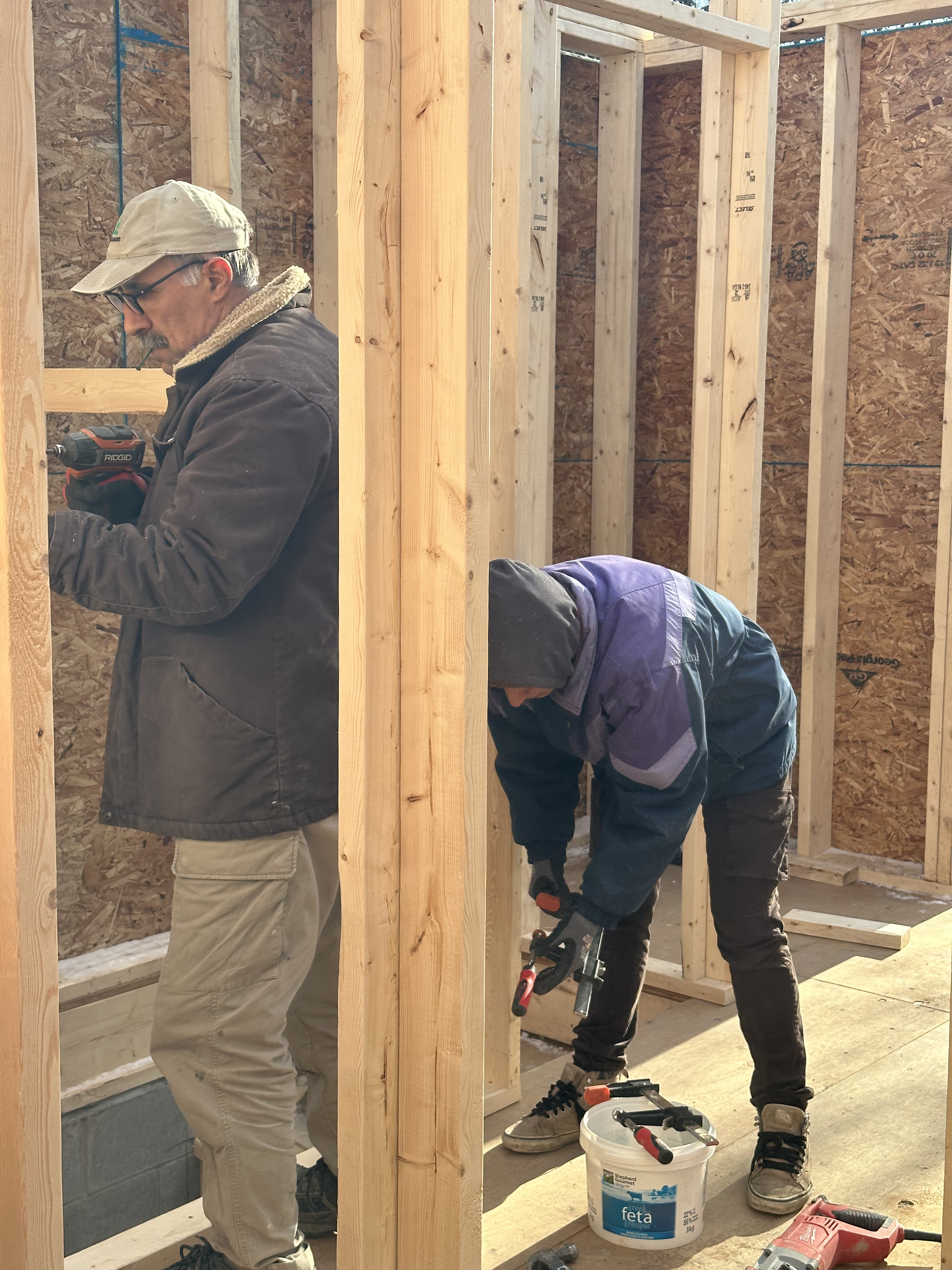 Renovation Expert at Work